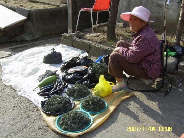 11-07.jpg