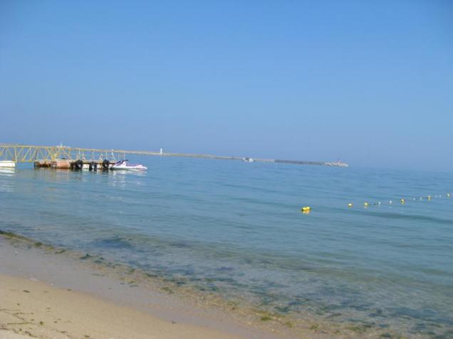 19-03.jpg